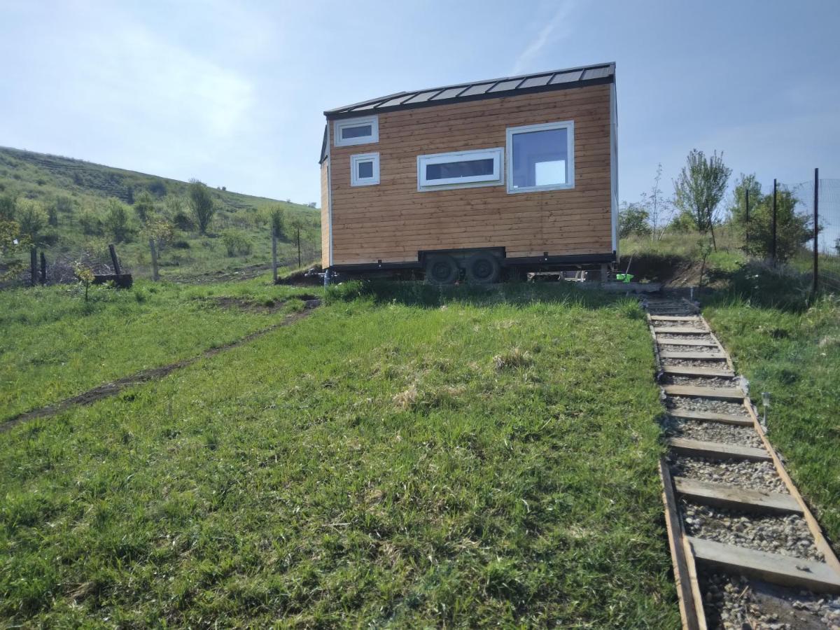 Tiny House Cluj With Jacuzzi Vila Sinnicoara Exterior foto