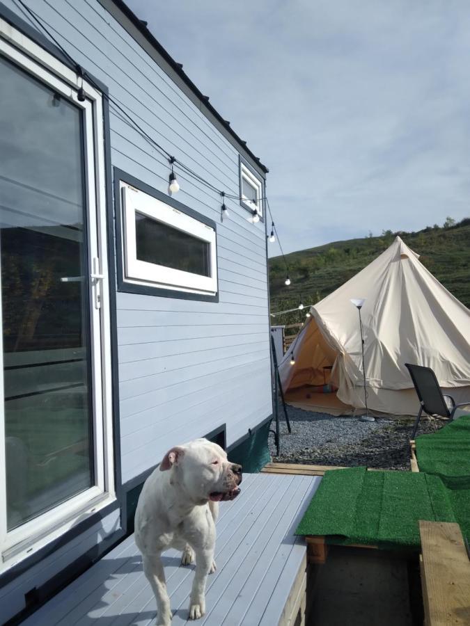 Tiny House Cluj With Jacuzzi Vila Sinnicoara Exterior foto